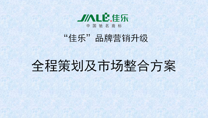 2013年3月18日正睿專家老師向佳樂項(xiàng)目董事長陳述調(diào)研報(bào)告