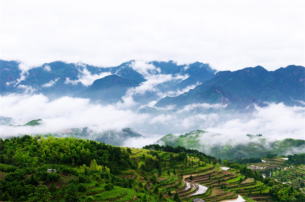 管理咨詢如何助力溫州企業(yè)戰(zhàn)略規(guī)劃落地？