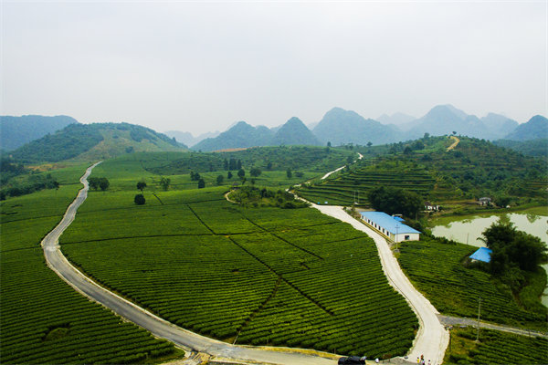 清遠(yuǎn)管理咨詢機(jī)構(gòu)的定制化服務(wù)方面包含哪些內(nèi)容？